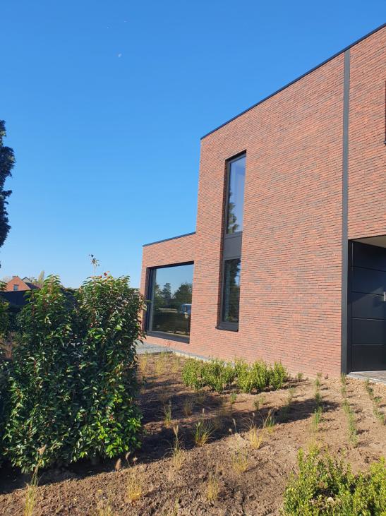 Vic diels project PT 2