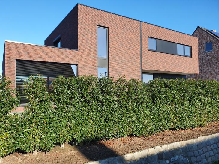 Vic diels project PT 7