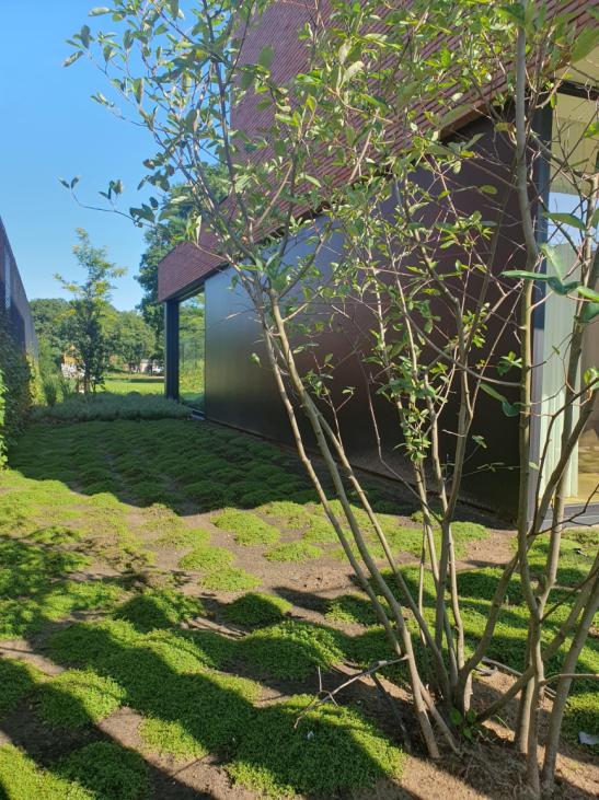 Vic Diels villa retie project kr 5